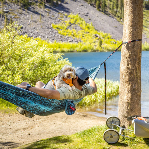 Double Hammock, GrandTrunk, Aqua/Ice Gray