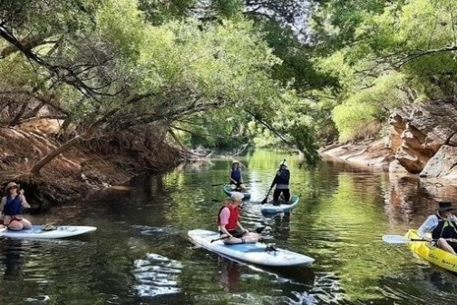 People paddleboarding and kayaking on a tree-lined river.