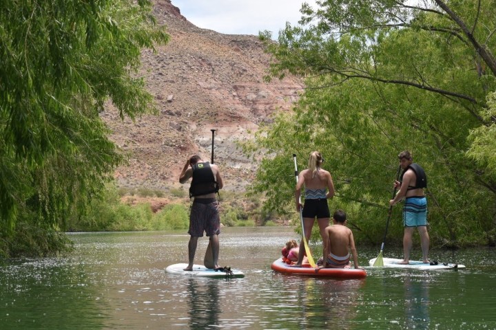 Four people stand on paddleboards along a tree-lined river.